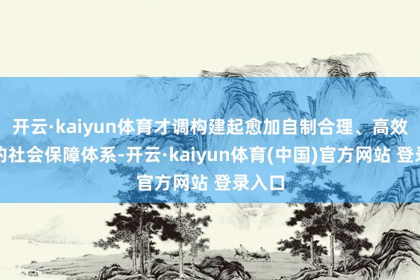 开云·kaiyun体育才调构建起愈加自制合理、高效运行的社会保障体系-开云·kaiyun体育(中国)官方网站 登录入口