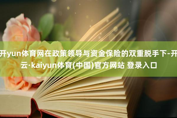 开yun体育网在政策领导与资金保险的双重脱手下-开云·kaiyun体育(中国)官方网站 登录入口